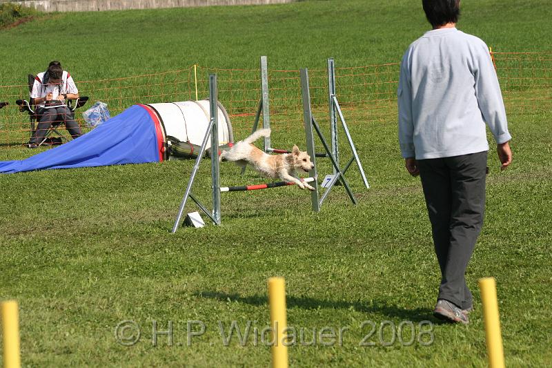 jubil.lusten. 201.jpg